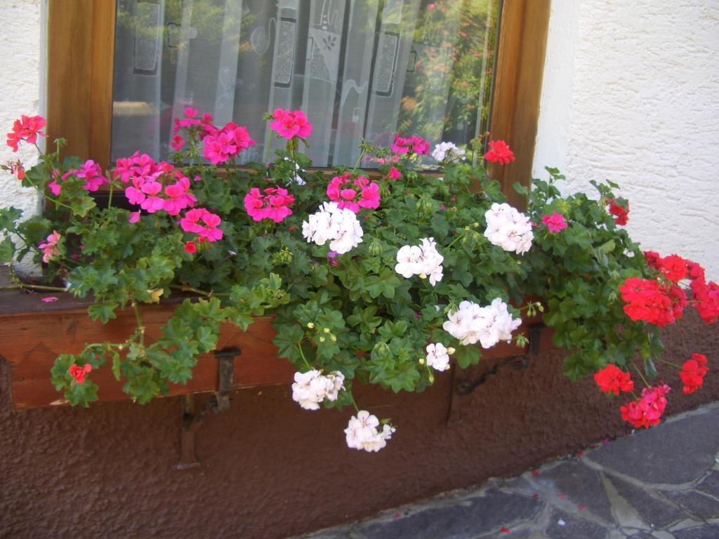 Haus Brigitte - Preise inclusive Pitztal Sommer Card Jerzens Exterior foto