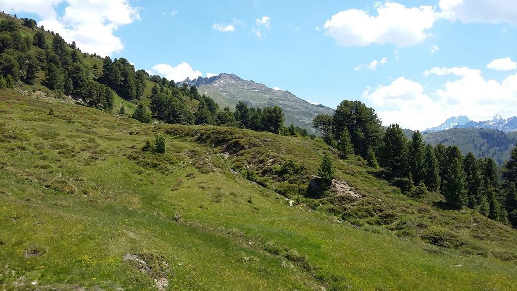 Haus Brigitte - Preise inclusive Pitztal Sommer Card Jerzens Exterior foto
