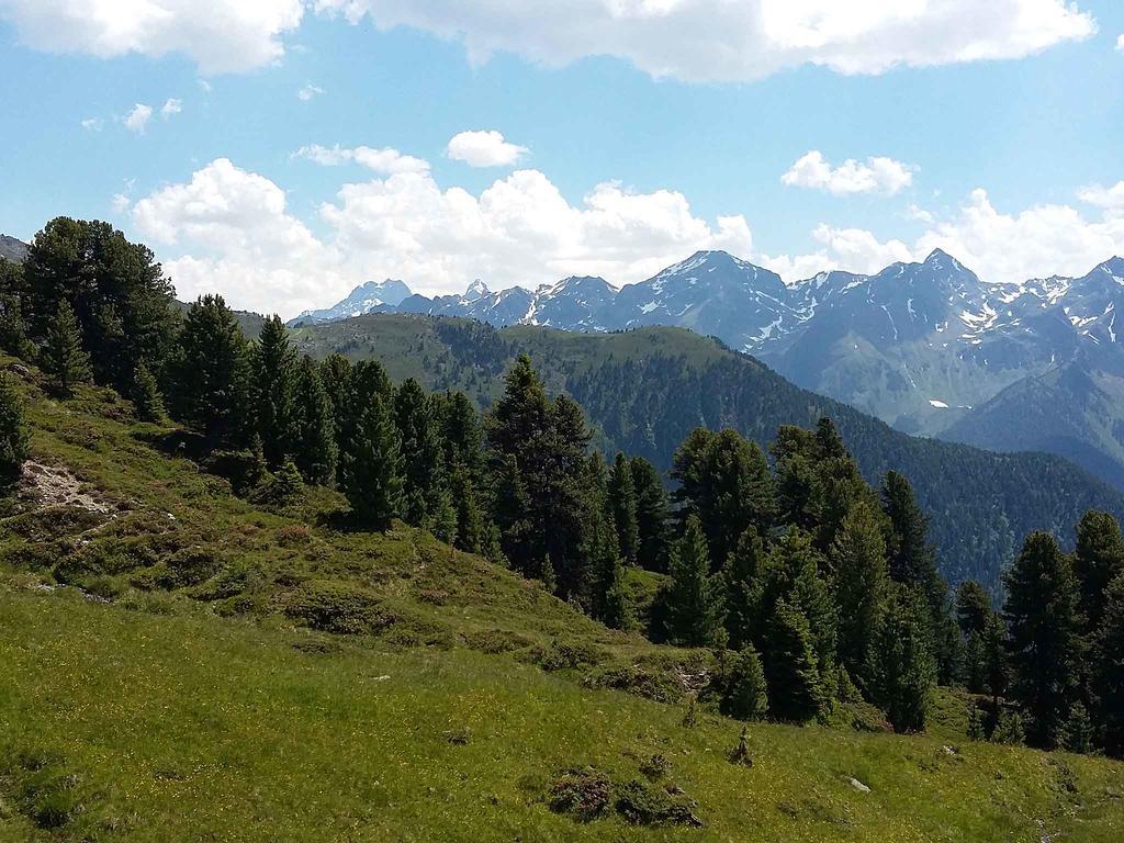 Haus Brigitte - Preise inclusive Pitztal Sommer Card Jerzens Exterior foto