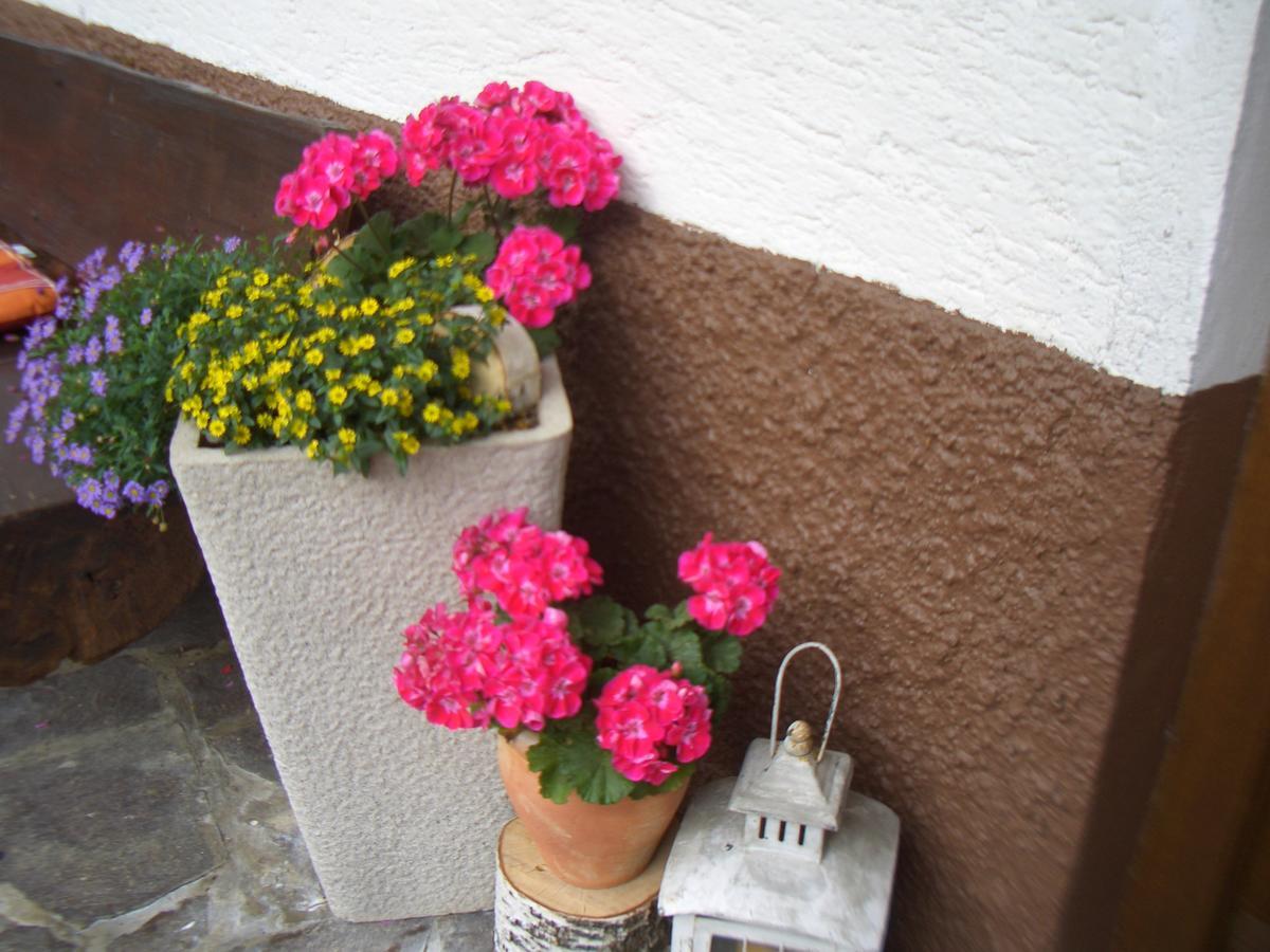 Haus Brigitte - Preise inclusive Pitztal Sommer Card Jerzens Exterior foto
