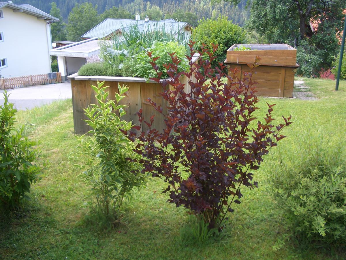 Haus Brigitte - Preise inclusive Pitztal Sommer Card Jerzens Exterior foto
